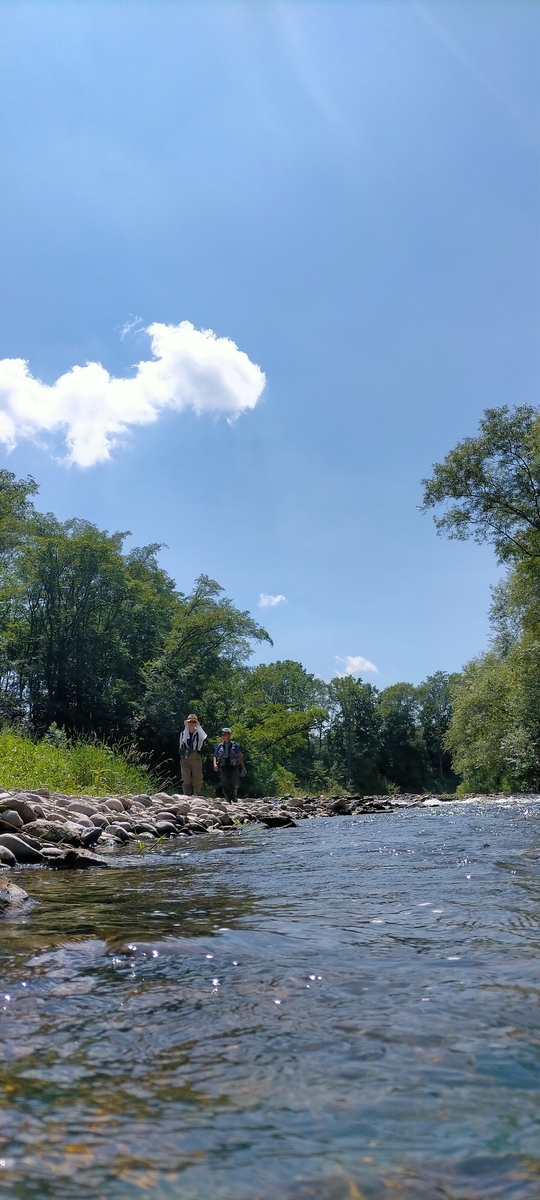 f:id:flyfisher417:20210901182548j:plain