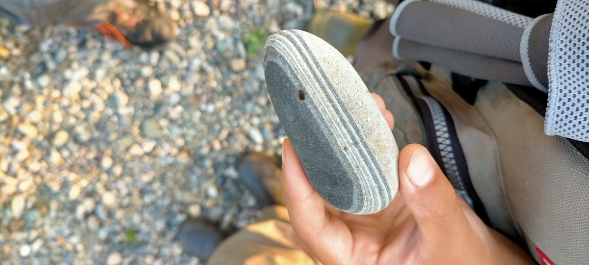 f:id:flyfisher417:20210901183450j:plain