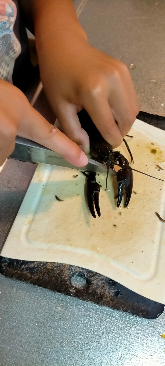 f:id:flyfisher417:20210902122006j:plain