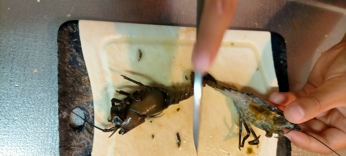 f:id:flyfisher417:20210902122045j:plain