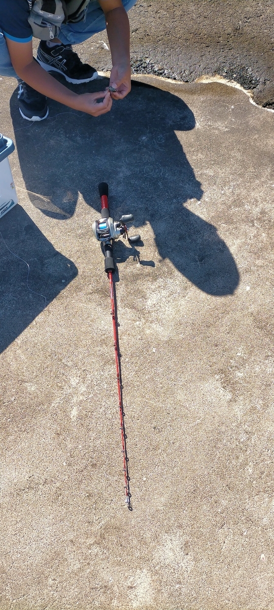 f:id:flyfisher417:20211010102038j:plain
