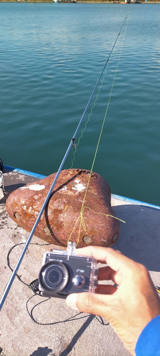 f:id:flyfisher417:20211010125007j:plain