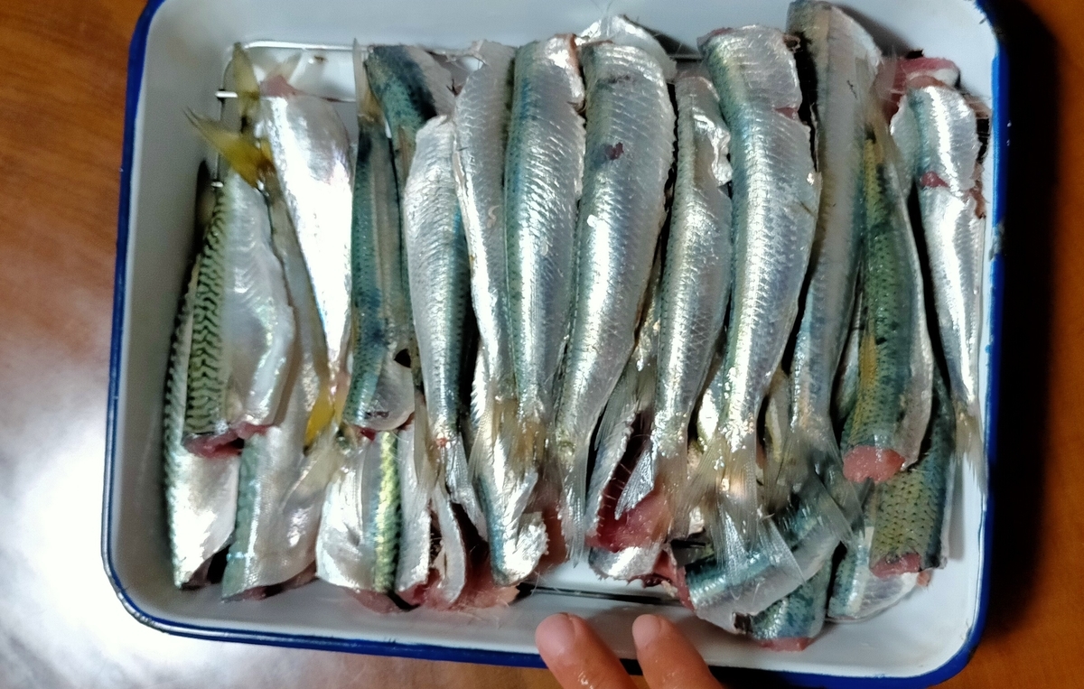 f:id:flyfisher417:20211010125833j:plain