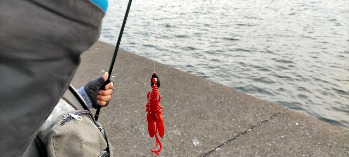 f:id:flyfisher417:20211101223240j:plain