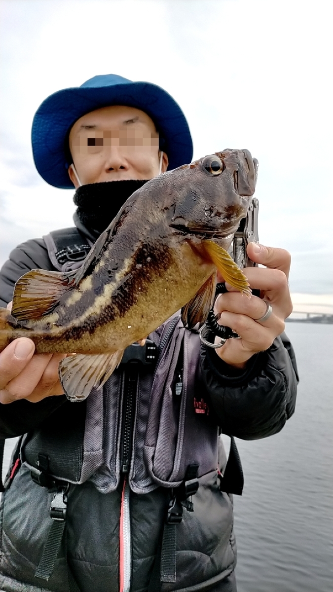 f:id:flyfisher417:20211102200646j:plain