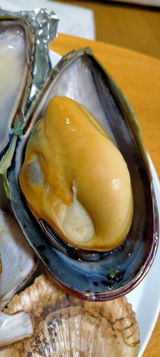 f:id:flyfisher417:20211102202735j:plain