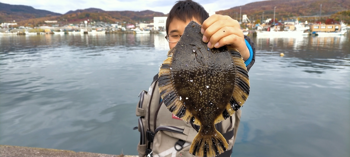 f:id:flyfisher417:20211103185020j:plain