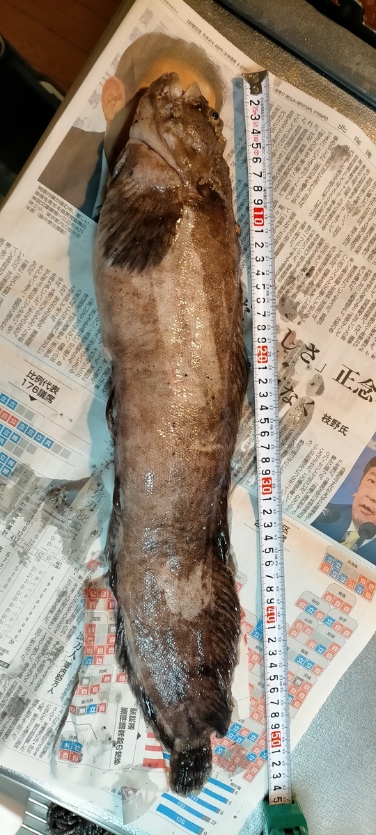 f:id:flyfisher417:20211103190305j:plain