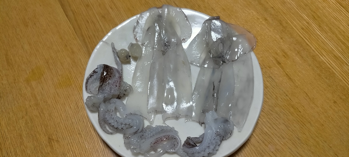 f:id:flyfisher417:20211114170254j:plain
