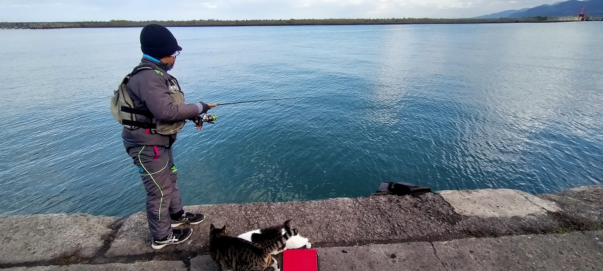 f:id:flyfisher417:20211126180136j:plain