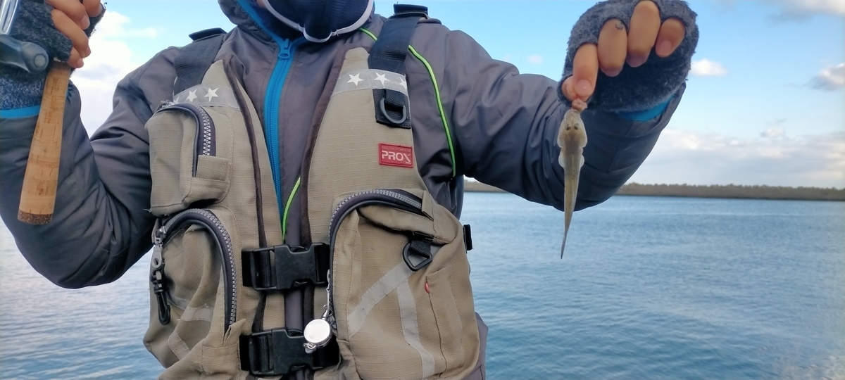 f:id:flyfisher417:20211126180157j:plain