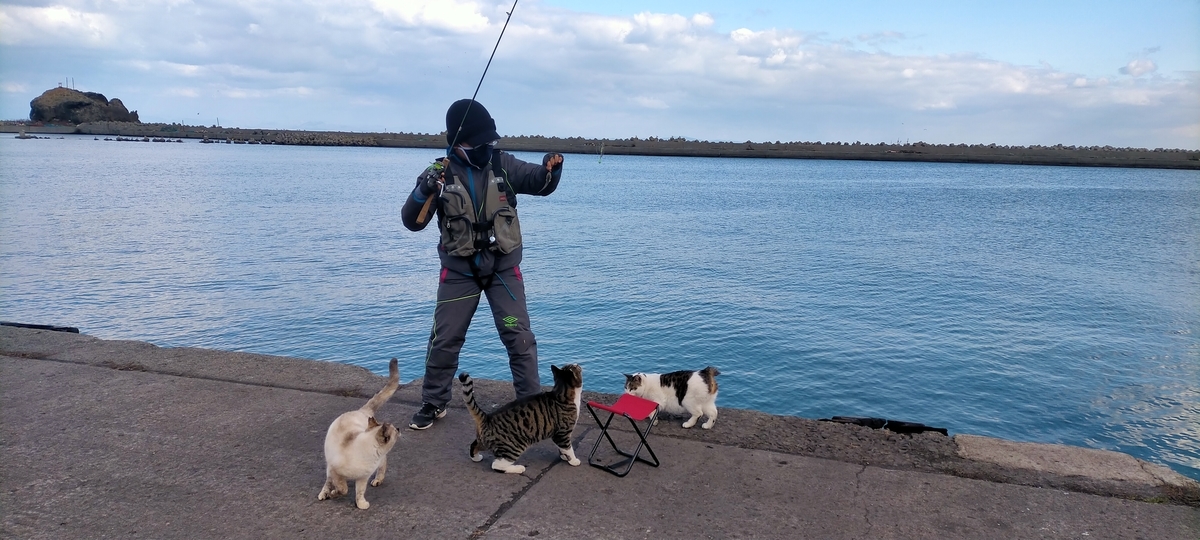 f:id:flyfisher417:20211126180222j:plain