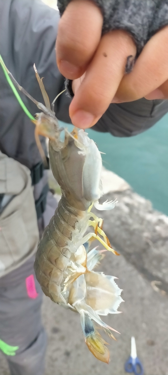 f:id:flyfisher417:20211126180731j:plain