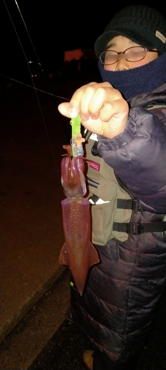 f:id:flyfisher417:20211204202153j:plain