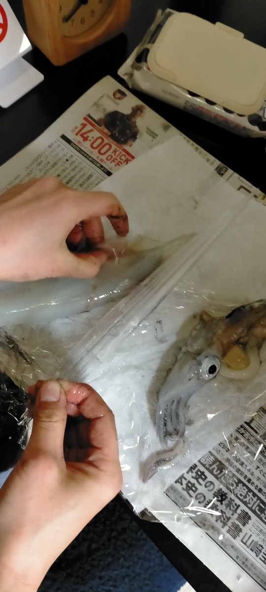f:id:flyfisher417:20211204205331j:plain
