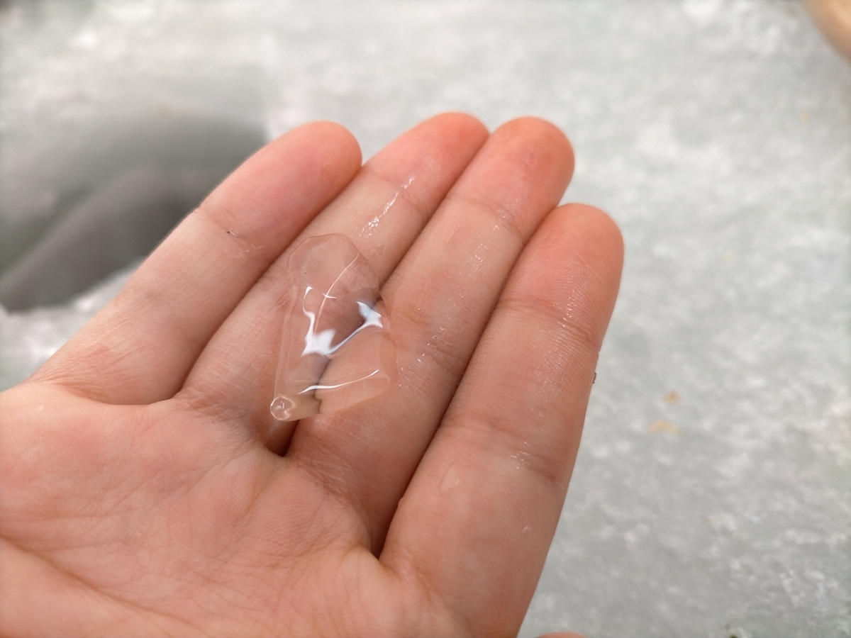 f:id:flyfisher417:20220130073708j:plain