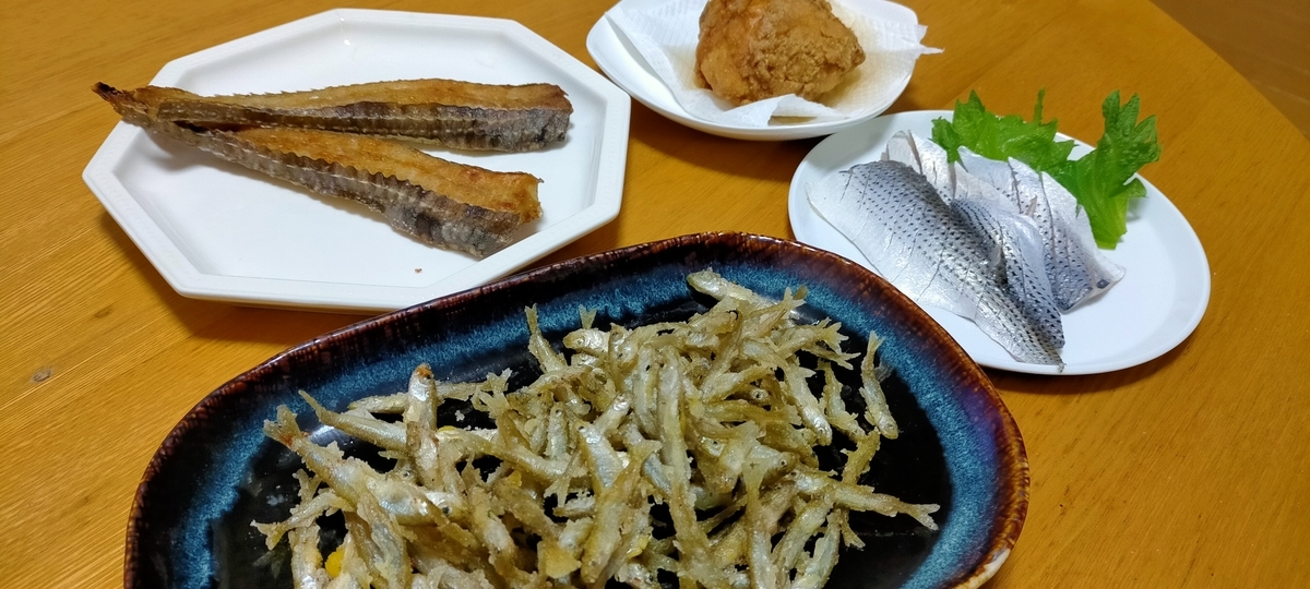 f:id:flyfisher417:20220130075241j:plain