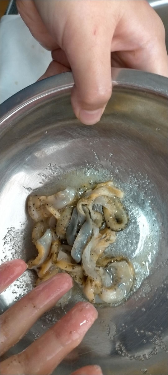 f:id:flyfisher417:20220302182444j:plain