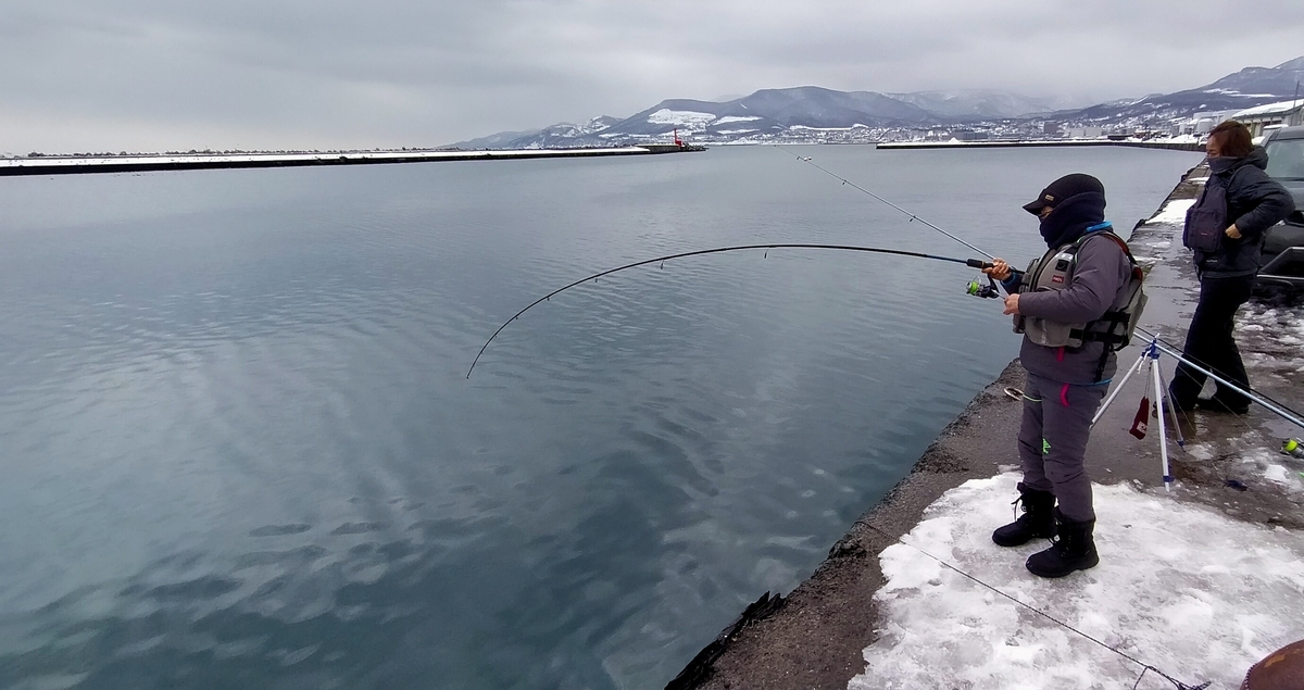 f:id:flyfisher417:20220302191330j:plain