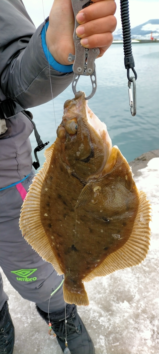 f:id:flyfisher417:20220302191504j:plain