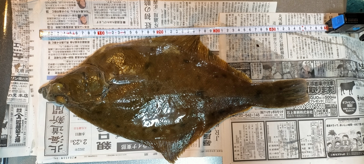 f:id:flyfisher417:20220302193156j:plain