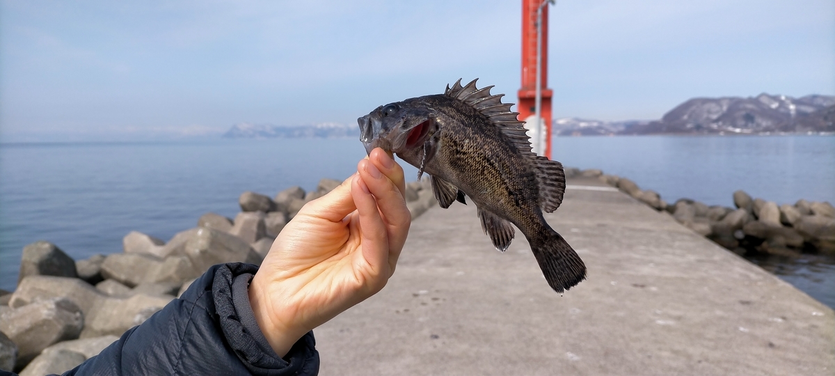 f:id:flyfisher417:20220315123821j:plain
