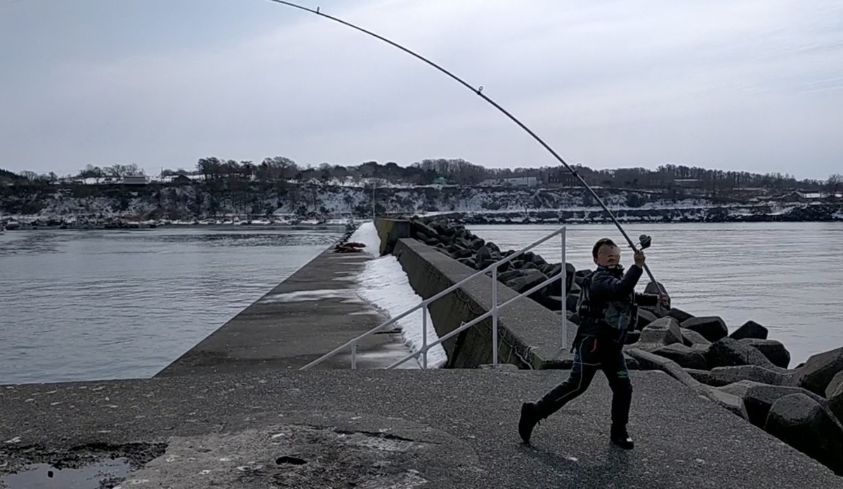 f:id:flyfisher417:20220315123935j:plain