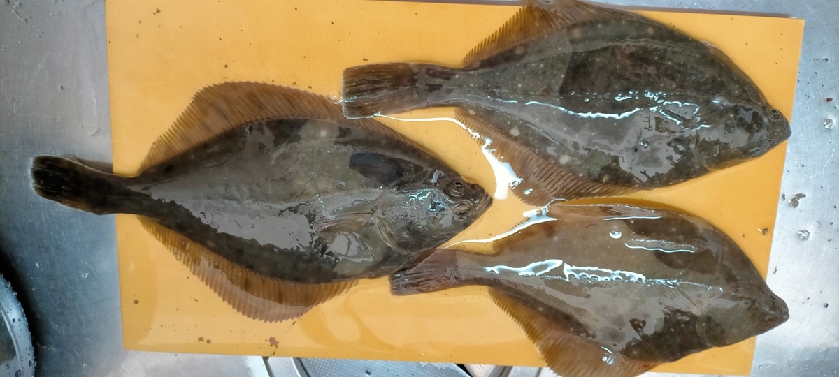 f:id:flyfisher417:20220406175238j:plain
