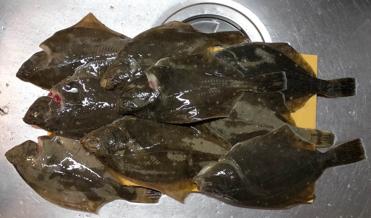 f:id:flyfisher417:20220411213750j:plain