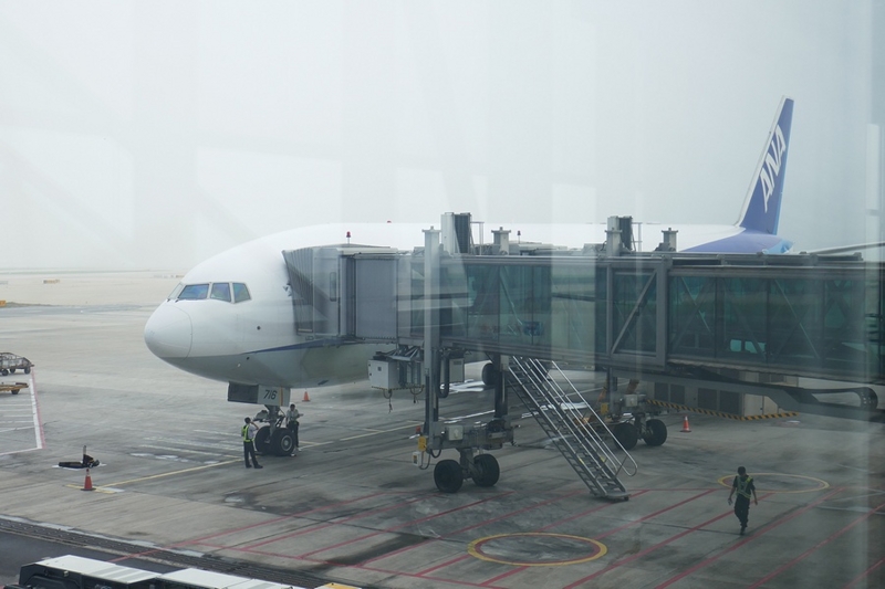 f:id:flyfromrjgg:20160723230401j:plain f:id:flyfromrjgg:20160723230401j:plain