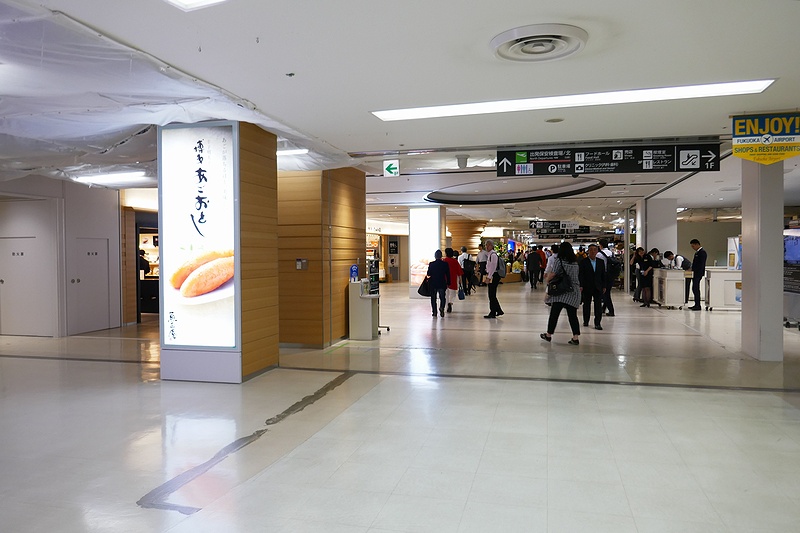 f:id:flyfromrjgg:20180621190254j:plain