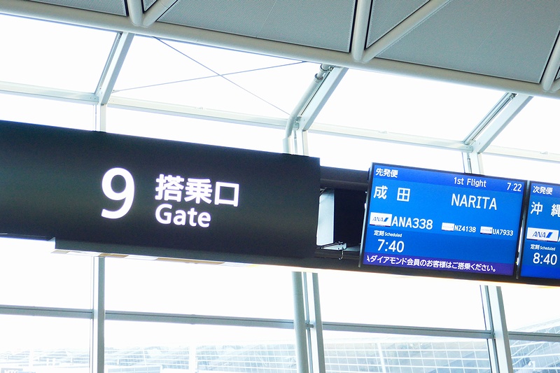 f:id:flyfromrjgg:20180813223821j:plain