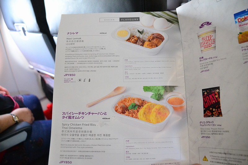 f:id:flyfromrjgg:20190201121714j:plain