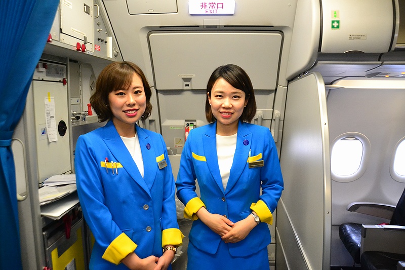 f:id:flyfromrjgg:20190201181235j:plain