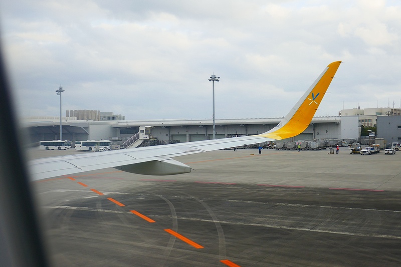 f:id:flyfromrjgg:20190201181420j:plain