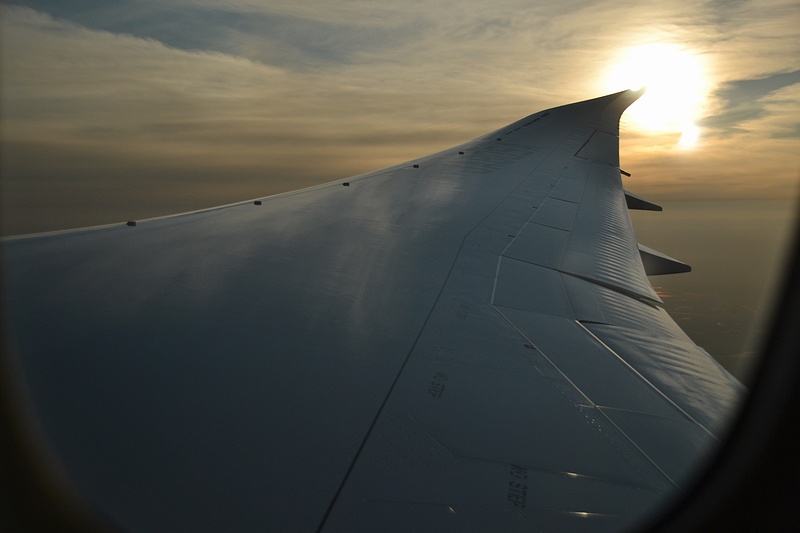 f:id:flyfromrjgg:20190210231034j:plain