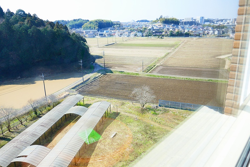 f:id:flyfromrjgg:20190322174735j:plain