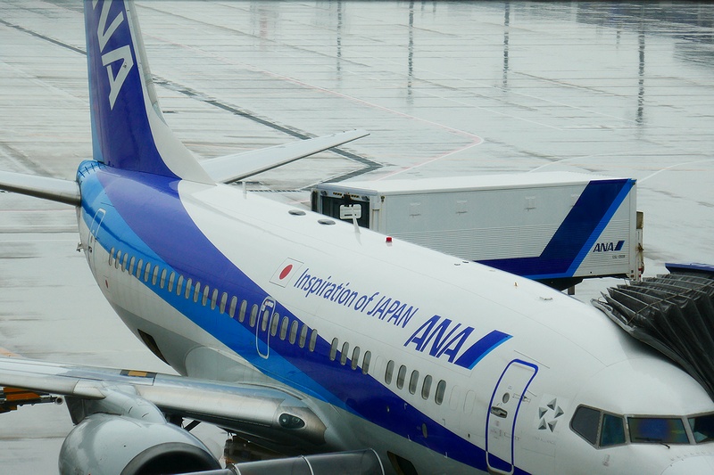 f:id:flyfromrjgg:20190501231014j:plain f:id:flyfromrjgg:20190501231014j:plain