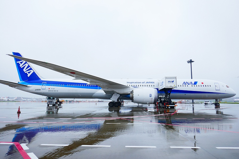 f:id:flyfromrjgg:20190712181647j:plain