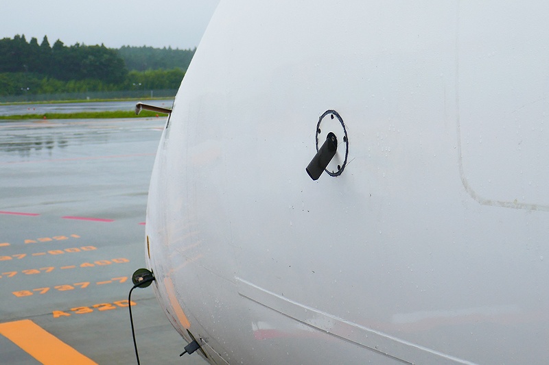 f:id:flyfromrjgg:20190712181650j:plain