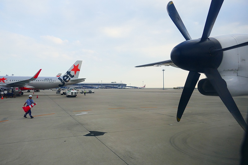 f:id:flyfromrjgg:20190712181725j:plain