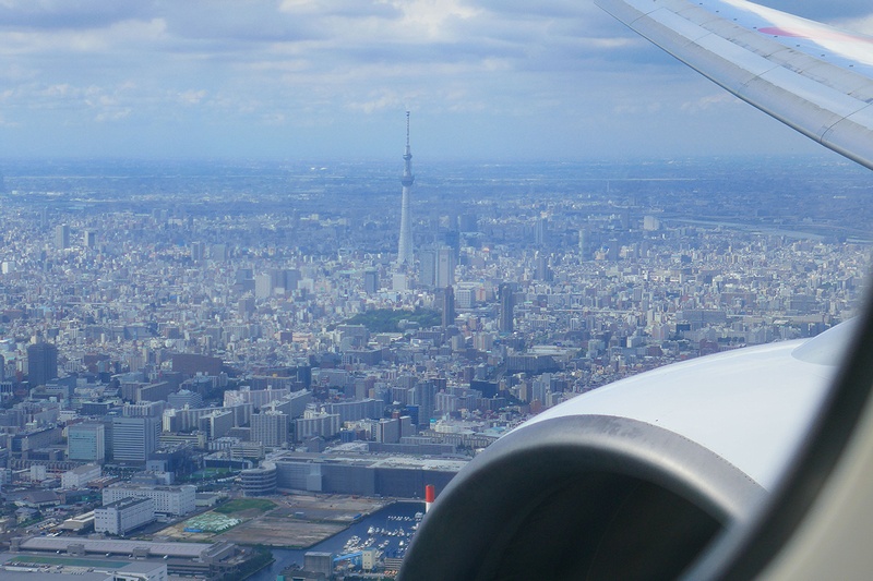 f:id:flyfromrjgg:20190813160345j:plain