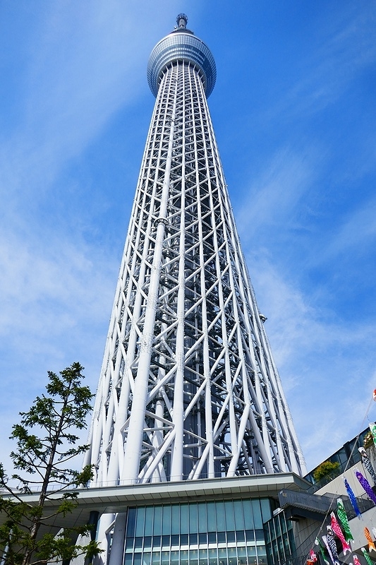 f:id:flyfromrjgg:20190821080341j:plain