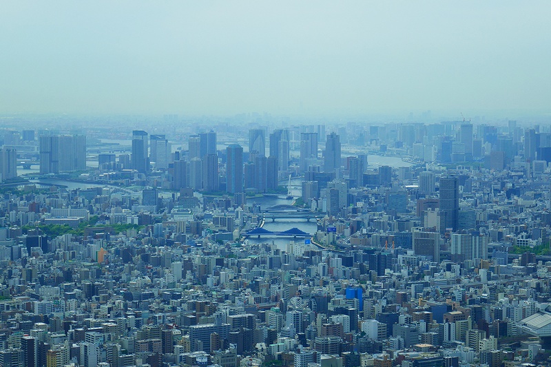 f:id:flyfromrjgg:20190821080344j:plain