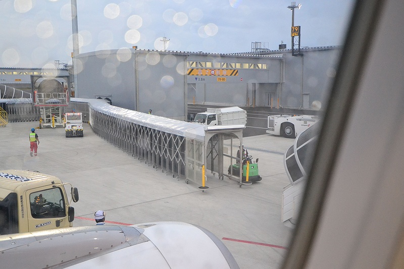 f:id:flyfromrjgg:20190920185458j:plain f:id:flyfromrjgg:20190920185458j:plain