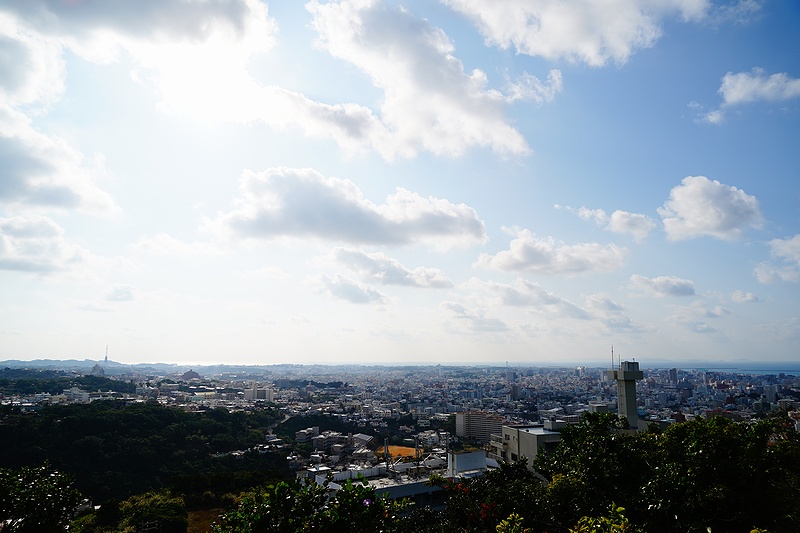 f:id:flyfromrjgg:20200114234206j:plain f:id:flyfromrjgg:20200114234206j:plain