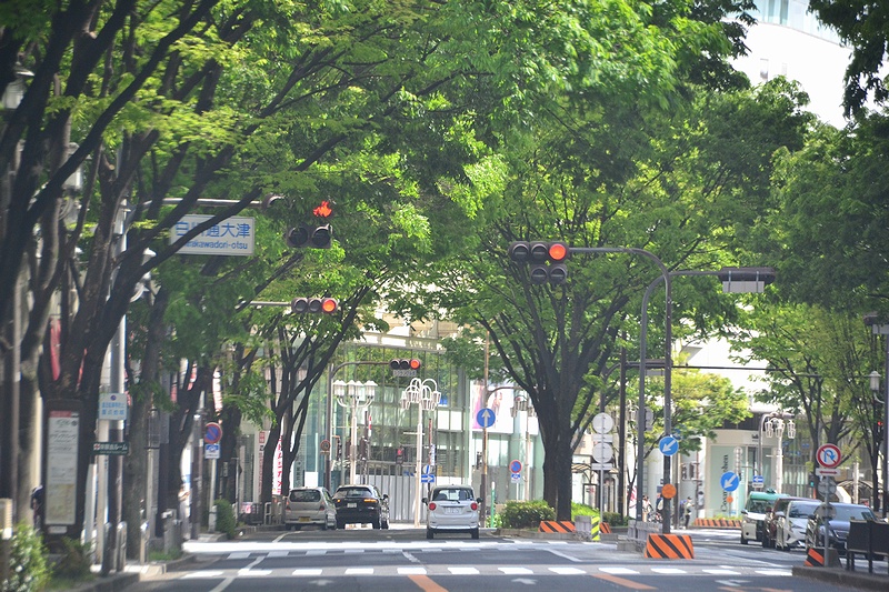 f:id:flyfromrjgg:20200505202110j:plain