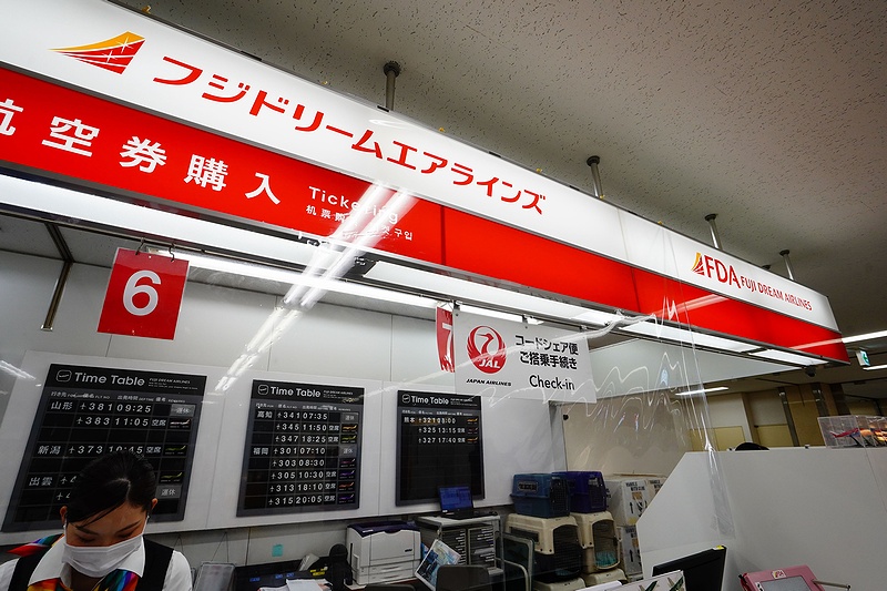 f:id:flyfromrjgg:20200728094615j:plain