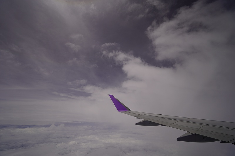 f:id:flyfromrjgg:20200728094736j:plain