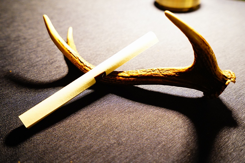 f:id:flyfromrjgg:20201026105213j:plain